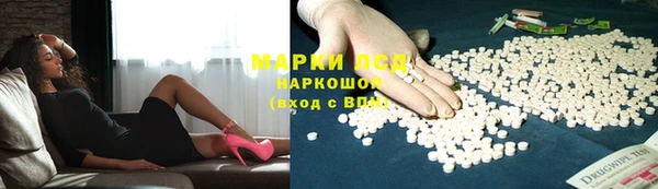 мяу мяу мука Иннополис