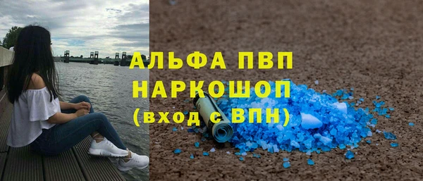 мяу мяу мука Иннополис