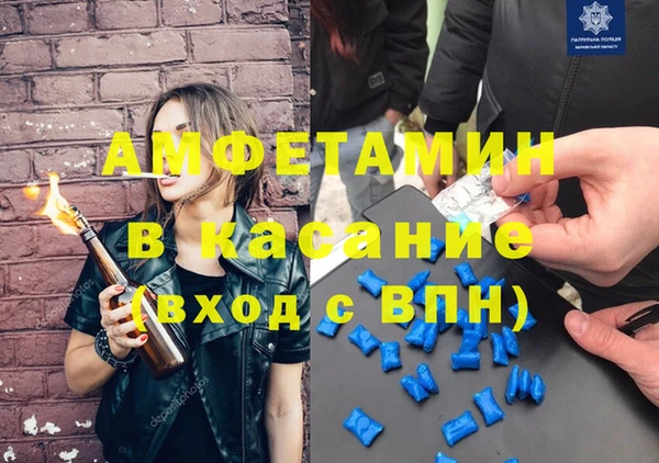 мяу мяу мука Иннополис