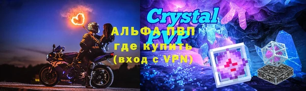 мяу мяу мука Иннополис